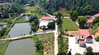 Hiệu quả từ mở rộng đường giao thông nông thôn ở Bảo Thắng