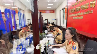 Tiếp nhận thủ tục cấp đổi và sát hạch giấy phép lái xe tại 055 đường Quang Minh, phường Kim Tân, TP Lào Cai