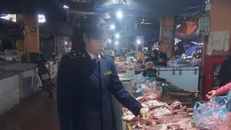 Thành phố Lào Cai: Các cơ sở tăng công suất giết mổ lợn dịp Tết