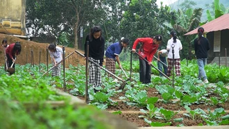 "Nông trại vui vẻ" trong trường học