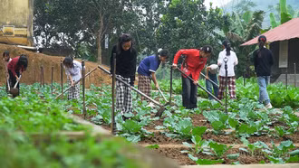 "Nông trại vui vẻ" trong trường học