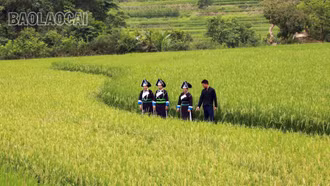 Sắc màu no ấm ở thung lũng bản Sinh