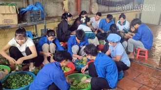 Bữa cơm ấm lòng sĩ tử