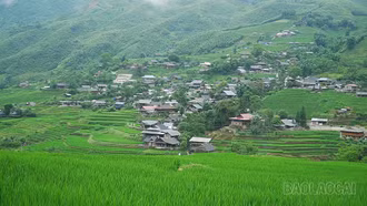 Sức hút Sa Pa mùa lúa xanh