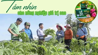 Tầm nhìn cho nông nghiệp giá trị cao