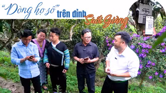 "Dòng họ số" trên đỉnh Suối Giàng