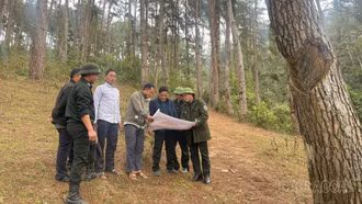 Người Mông giữ rừng