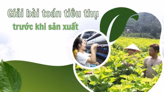 Giải bài toán tiêu thụ trước khi sản xuất