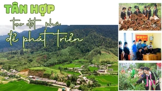 Tân Hợp tạo đột phá để phát triển