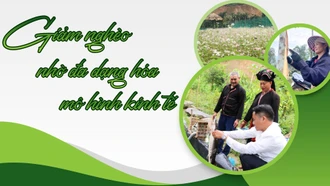 Giảm nghèo nhờ đa dạng hóa mô hình kinh tế