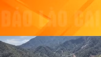 Lào Cai thiệt hại gần 1.150 ha rừng do bão lũ, sạt lở đất