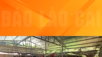 Đảm bảo giống gia cầm để tái đàn chăn nuôi tại Lào Cai