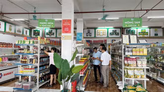 An toàn thực phẩm nông - lâm - thủy sản: Phát triển chuỗi cung ứng gặp nhiều khó khăn