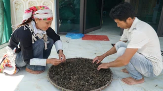 Gần 36.000 nam giới tham gia các chiến dịch truyền thông thúc đẩy bình đẳng giới