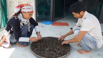 Gần 36.000 nam giới tham gia các chiến dịch truyền thông thúc đẩy bình đẳng giới