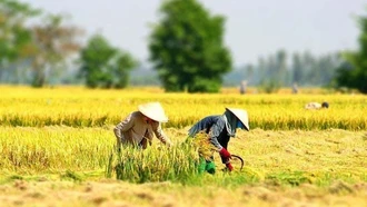 Nâng cao nhận thức về đào tạo nghề lao động nông thôn đối với phát triển kinh tế - xã hội