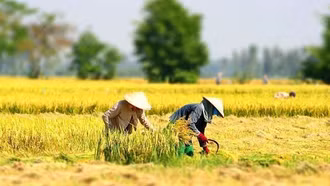 Nâng cao nhận thức về đào tạo nghề lao động nông thôn đối với phát triển kinh tế - xã hội