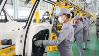 Hướng dẫn cá nhân có thu nhập từ tiền lương, tiền công trực tiếp quyết toán thuế TNCN