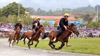 Rộn ràng mùa du lịch Tết với chuỗi hoạt động hấp dẫn tại Lào Cai