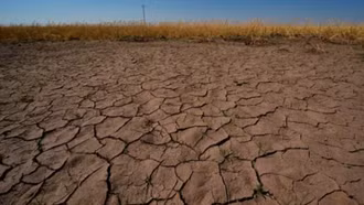 New Zealand xác nhận El Niño mạnh: Vì sao châu Á cần đặc biệt cảnh giác?