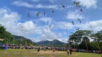 Lễ hội quả Còn Nghĩa Đô 2026: Tôn vinh bản sắc dân tộc Tày