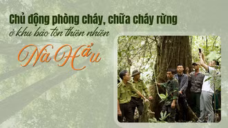 Chủ động phòng cháy, chữa cháy rừng ở khu bảo tồn thiên nhiên Nà Hẩu