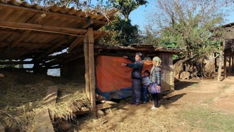 Vùng cao chủ động phòng, chống đói, rét cho đàn gia súc