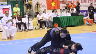 Việt Nam bảo vệ thành công ngôi vô địch Giải Pencak Silat châu Á 2026