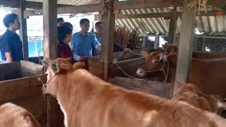 Hội thảo Khoa học Chăn nuôi và Thú y toàn quốc 2026 diễn ra ngày 27 - 28/3