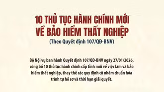 [Infographic] 10 thủ tục hành chính mới về bảo hiểm thất nghiệp