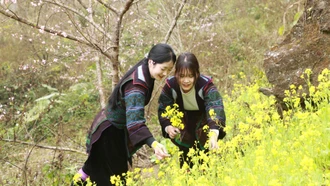 Mùa xuân trên “cổng trời” Tả Pa Cheo