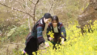 Mùa xuân trên “cổng trời” Tả Pa Cheo