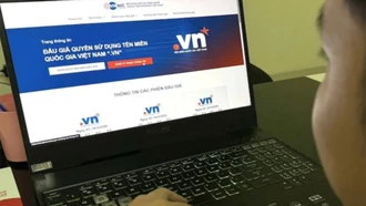 Việt Nam lần đầu tiên tổ chức đấu giá tên miền '.vn'