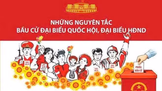 Những nguyên tắc cơ bản trong bầu cử đại biểu Quốc hội và HĐND các cấp