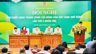 Bốn nội dung quan trọng chuẩn bị cho Đại hội Hội Nông dân nhiệm kỳ IX