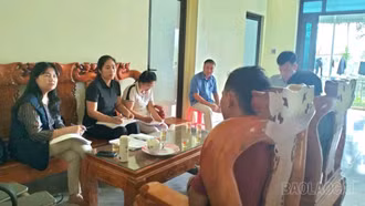 Đoàn công tác WHO và Viện Sốt rét - Ký sinh trùng - Côn trùng Trung ương làm việc tại Lào Cai