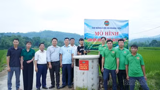 Khánh Yên ra mắt mô hình “Cánh đồng không vỏ thuốc bảo vệ thực vật”