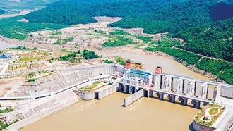 Quy định việc quản lý, sử dụng, khai thác tài sản kết cấu hạ tầng thủy lợi