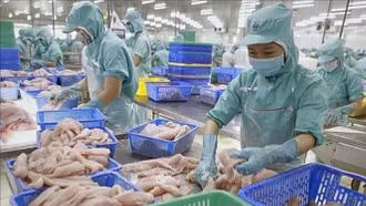 Bộ Công Thương ban hành kế hoạch triển khai năm Chủ tịch CPTPP 2026