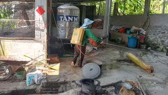Phường Nghĩa Lộ chủ động phòng, chống dịch tả lợn châu Phi