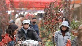 Từ mùng 2 Tết, Bắc Bộ, Bắc Trung Bộ trời rét, vùng núi có nơi rét đậm