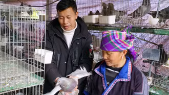 “Dân vận khéo” - “đòn bẩy” trong phát triển kinh tế, giảm nghèo ở Mù Cang Chải