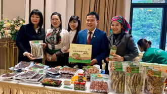 Kinh tế hợp tác xã - dấu ấn đậm nét năm 2025