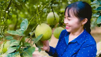 Bảo Thắng sôi nổi phong trào thi đua hướng về Đại hội XIV của Đảng