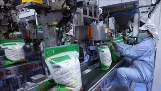 Tận dụng FTA, mở rộng và đa dạng hóa thị trường xuất khẩu gạo