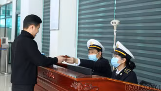 Tăng cường giám sát phòng, chống bệnh do vi-rút Nipah