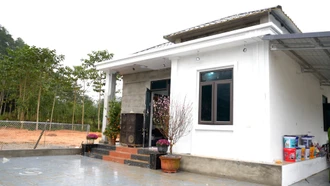 Ấm áp ngày Tết trong những ngôi nhà mới