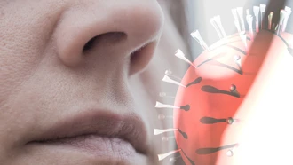 Infographic: Người nhiễm virus Nipah có triệu chứng ban đầu như thế nào?