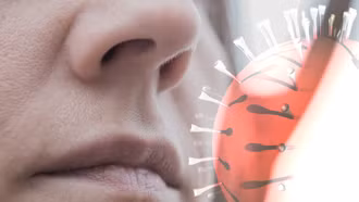 Infographic: Người nhiễm virus Nipah có triệu chứng ban đầu như thế nào?