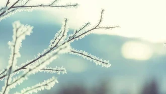 Rét đậm rét hại: Những nhóm đối tượng cần được bảo vệ khẩn cấp